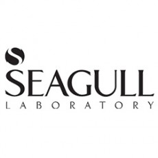 سیگل Seagull
