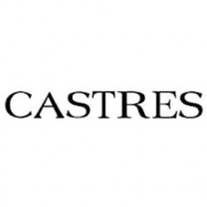 کسترز Castres